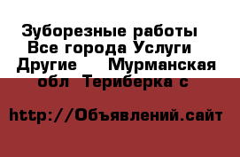 Зуборезные работы - Все города Услуги » Другие   . Мурманская обл.,Териберка с.